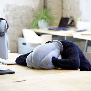 Ostrich pillow